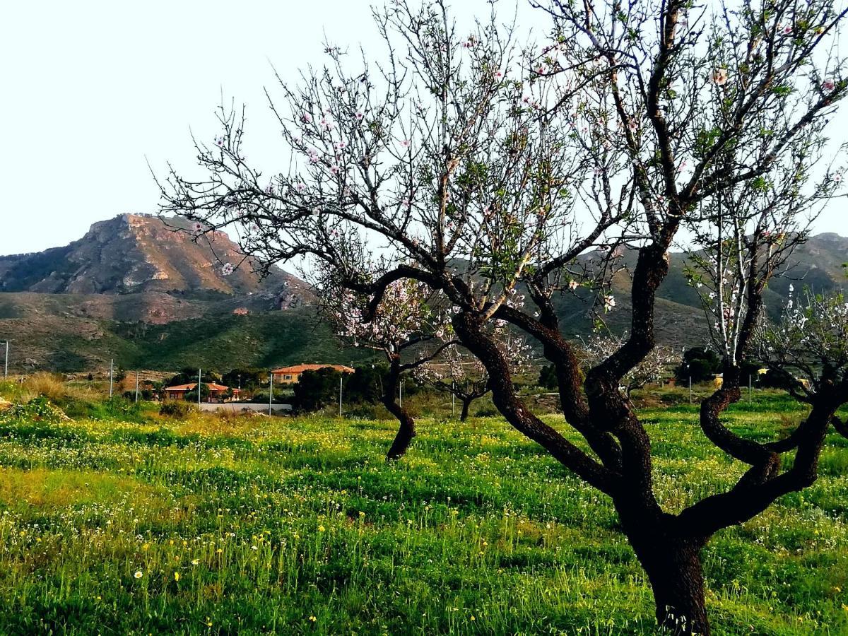 شقة La Vie En Rose كارتاخينه المظهر الخارجي الصورة