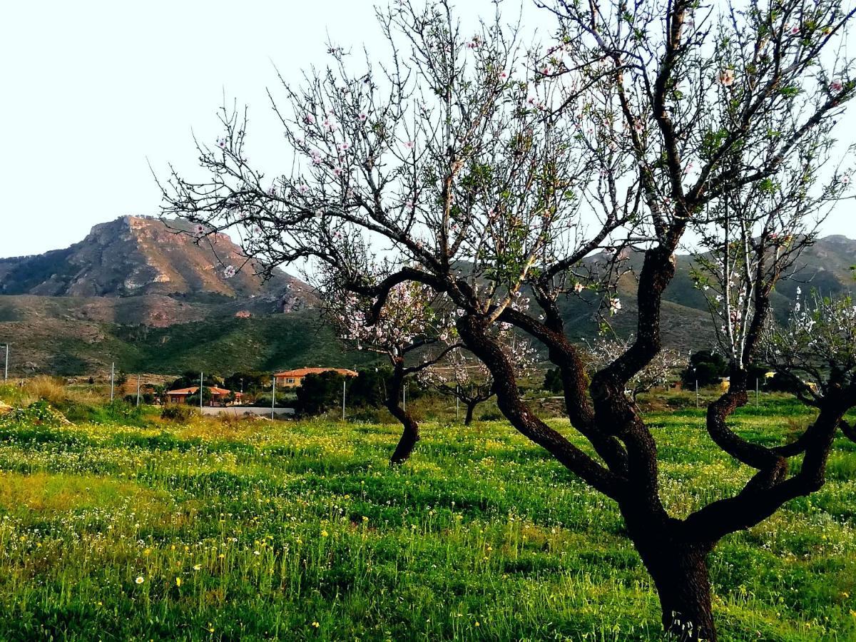 شقة كارتاخينه  في La Vie En Rose المظهر الخارجي الصورة