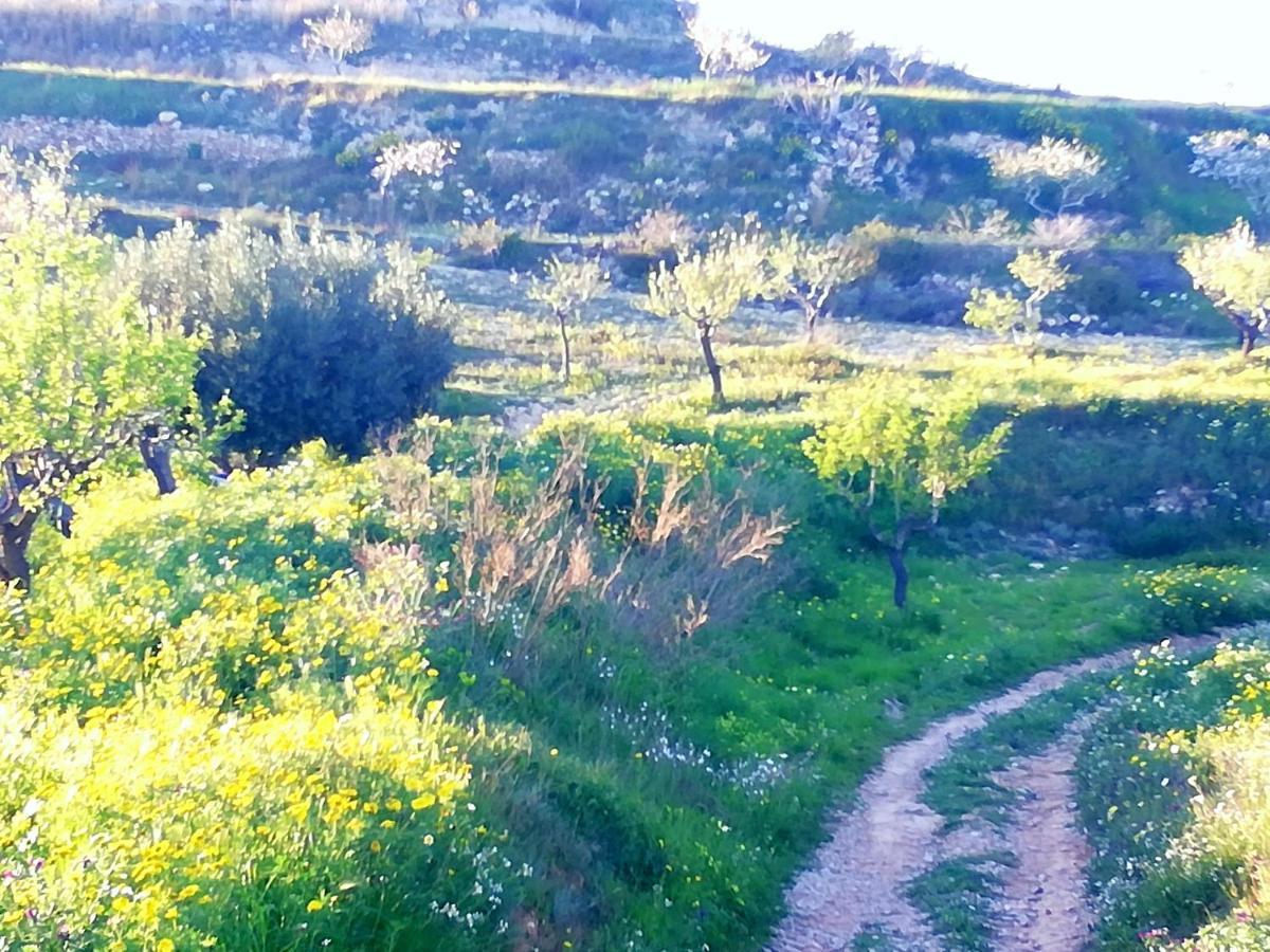 شقة كارتاخينه  في La Vie En Rose المظهر الخارجي الصورة